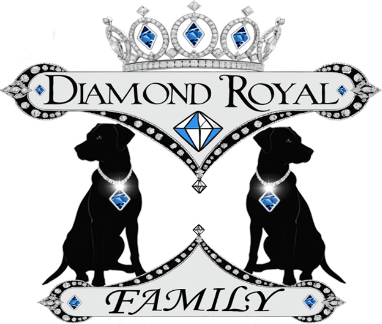 Diamond Royal Fur Family